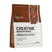Creatina Monohidratada 300gr